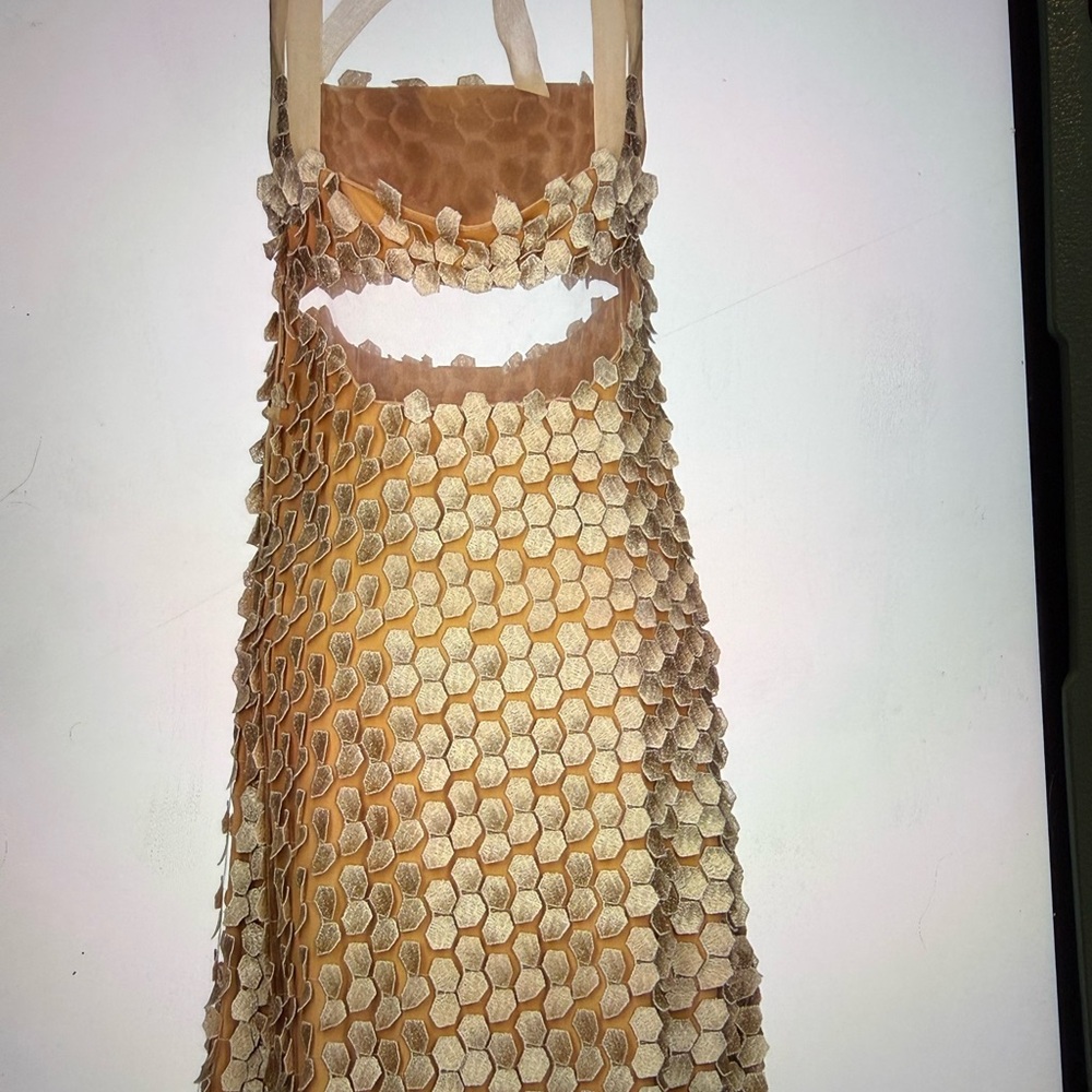 Alberta Ferriti Elegant Gold and Sheer Patterned Dress - Picture 3 of 6